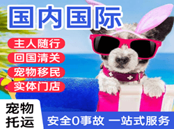 信阳明港空运地址国际宠物托运 【国